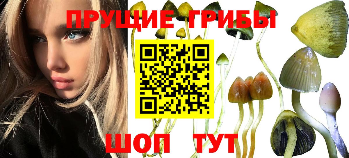 Галлюциногенные грибы ЛСД  Псилоцибиновые грибы Psilocybine cubensis  Вход с VPN  Советский 